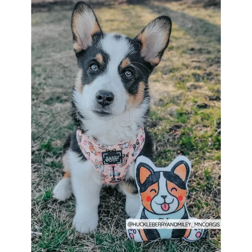 Sassy Woof Corgi Squeaky Dog Toy